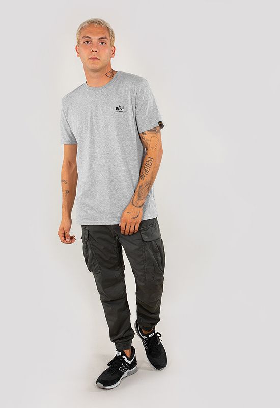 ALPHA INDUSTRIES Tričko BASIC T Small Logo - šedé (188505/17)