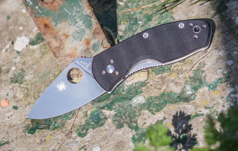 SPYDERCO Zatvárací nôž Ambitious Linerlock (SC148GP)