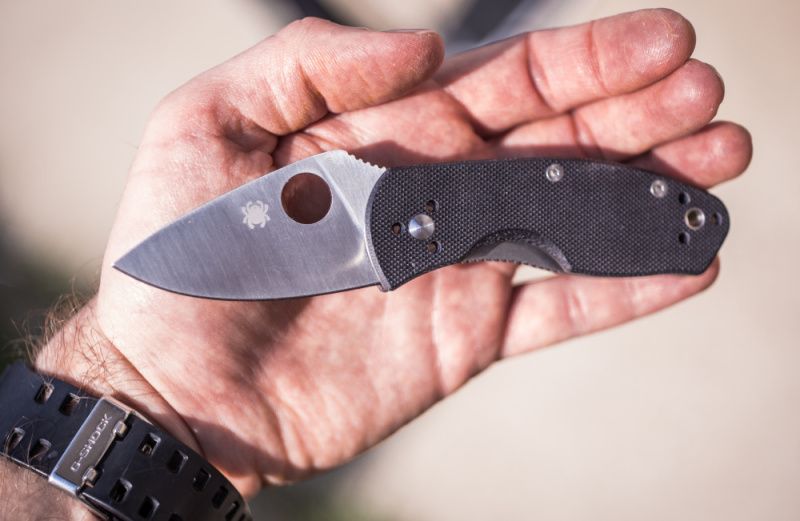 SPYDERCO Zatvárací nôž Ambitious Linerlock (SC148GP)